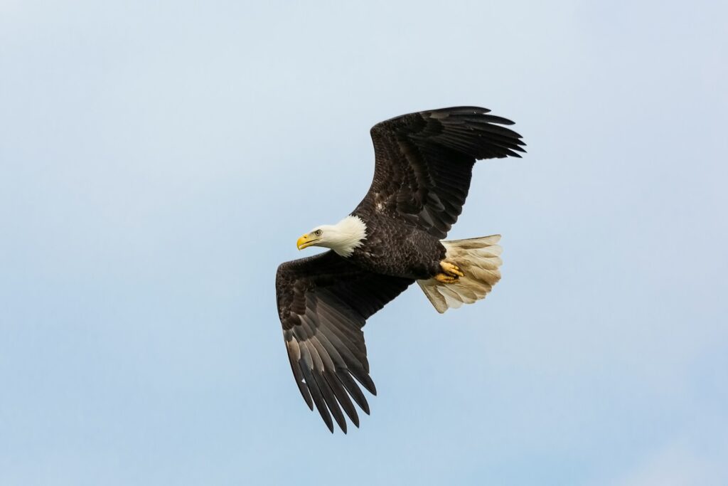 Mathew Schwartz S5c3nR Rcgc Unsplash 1024x683
