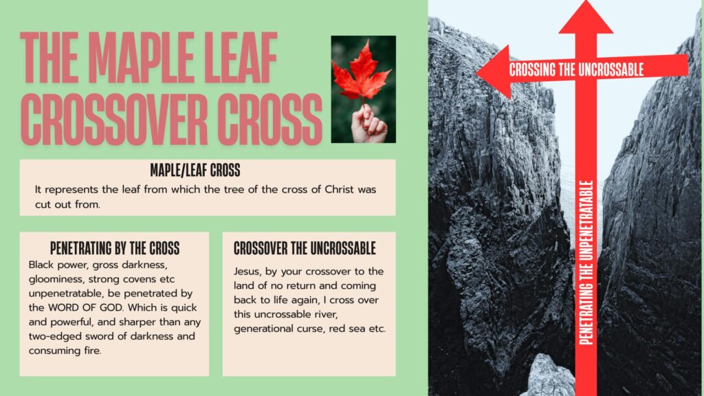 driven by the true cross (8)